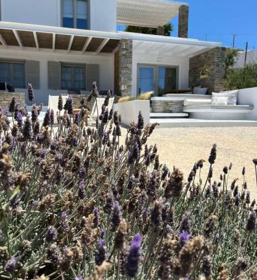 Parasporos Apartamento | Neso seafront studio Paros