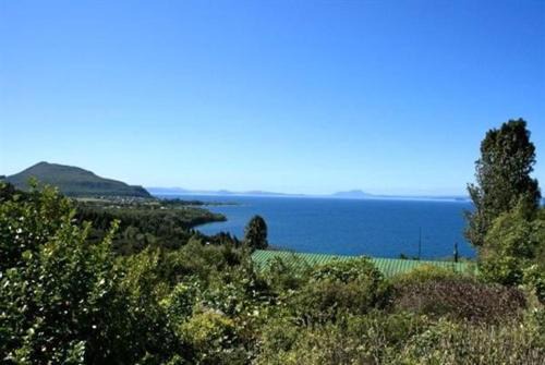 Pukawa Casa | Nestled Atop the Lane - Pukawa Bay Holiday Home