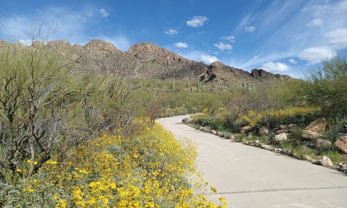 Oro Valley Cabaña | Nestled on Pusch Ridge Mountain in Oro Valley with full kitchen