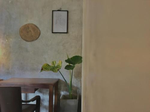 Ahangama Apartamento | Nethu Freedom Cottage