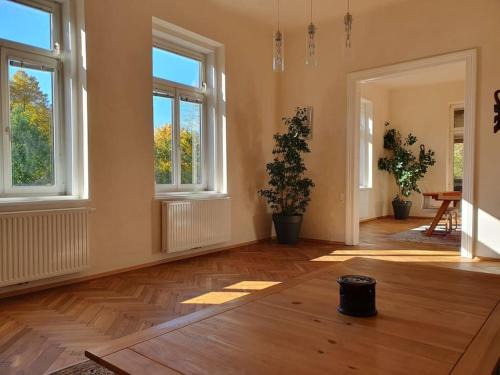 Steyr Apartamento | Neu renovierte Altbauwohnung im Herzen von Steyr 100qm