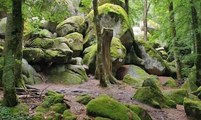 Furtwangen Alquiler De Eote | Neukirch Southern Black Forest