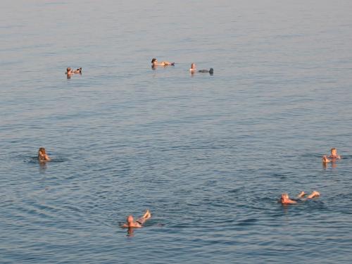 Neve Zohar Apartamento | NEVE ZOHAR DEAD SEA