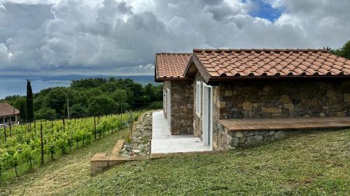 Gradoli Casa | NEW! Apartment immersed in a vineyard