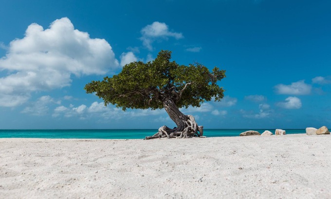 Oranjestad Casa | New! Apartment Ocean View With Amazing Sunsets!