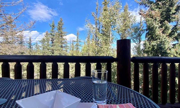 Stagetop Casa | New! Beautiful Mountain Home with Playground on Treed Acreage - Woodland Vista Retreat