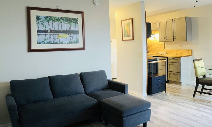 Hilo Casa | New, beautifully remodeled and tastefully furnished downtown Hilo apt