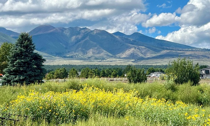 Flagstaff Cabaña | New Build! 🌻 Sunflower Cottage🌻 Perfect Summer Getaway! On 2 Acres!