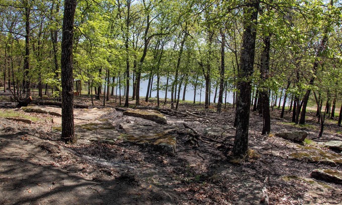 Carlisle Cabina | New Cabin on Private Lake with Hot Tub, Gas Grill, Fire Pit & Swings