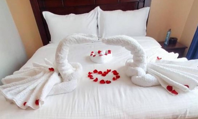 Pangani Hotel | New Carnation Hotel