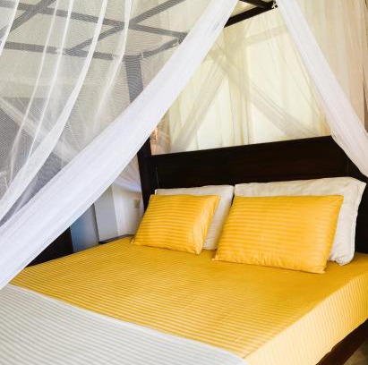 Induruwa Apartamento | New Cinnamon Villa