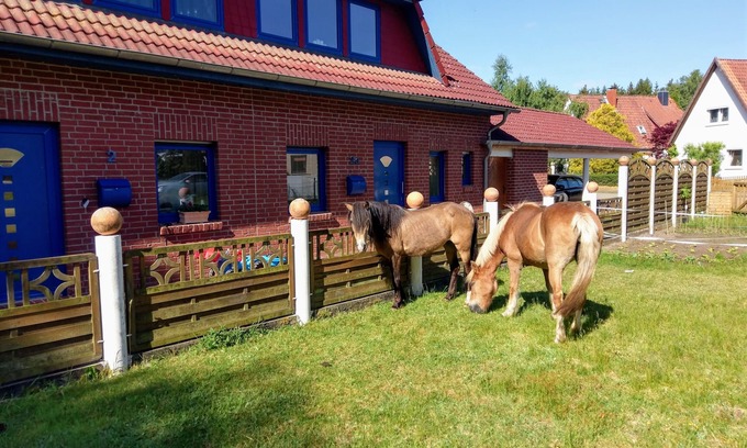 Bomlitz Casa | New Comfortable vacation home145m² garden/barbecue area,800m² playground, leisure park