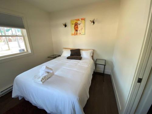 North Central Edmonton Apartamento | New Dt Apartment Walk To All