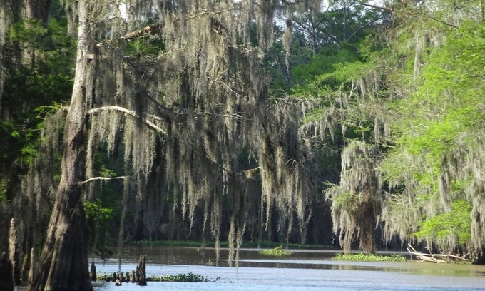 Patterson Casa | New Guest House on Bayou w/Hot tub & Spectacular view