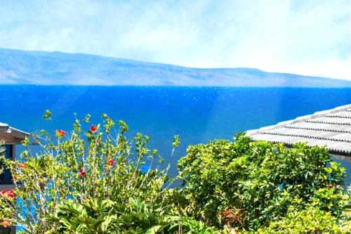 Napili Apartamento | NEW KBM Resorts FREE CAR Kapalua Bay Villas Ocean View 1-Bedroom condo steps to beach with spacious lanai KBV-24G3