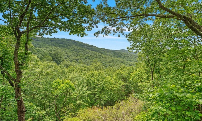 Big Canoe Cabina | New Listing Little Bear Lodge in Big Canoe