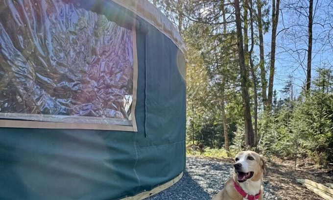 Bar Harbor Alquiler De RV | New luxurious 24’ yurt located in Bar Harbor, Maine with access to Northeast Creek