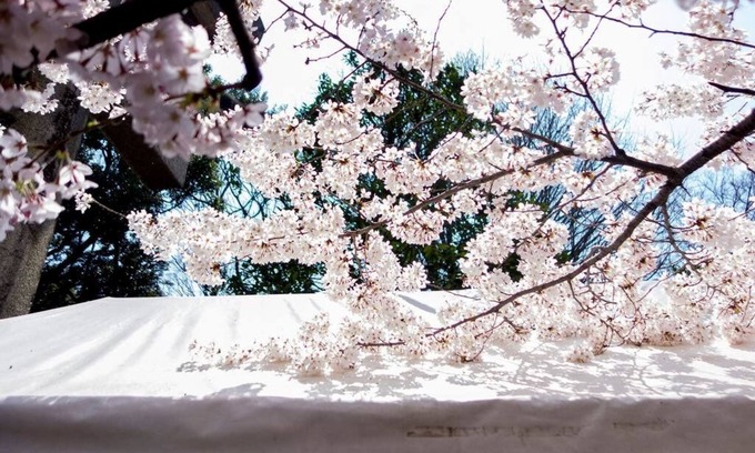 Ueno Apartamento | New/Luxury#5mins to Station#Max8ppl#Free WIFI#