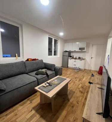 Raska Apartamento | New resort Treska, Kopaonik