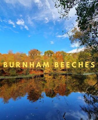 Farnham Common Apartamento | NEW - Stylish 2 bed, Farnham Common