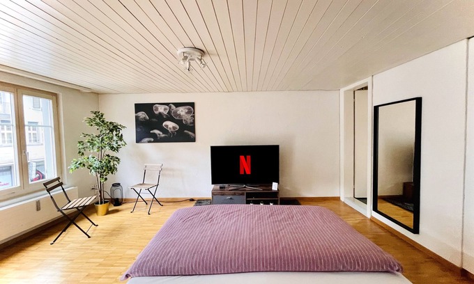 St. Gallen Apartamento | Hermoso apartamento de edificio antiguo recién amueblado en el centro con Apple