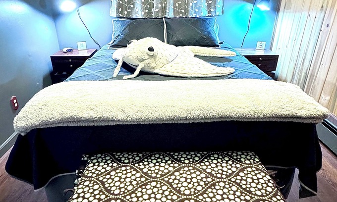 West End Apartamento | Newly renovated 1bedroom daylight basement apartment.