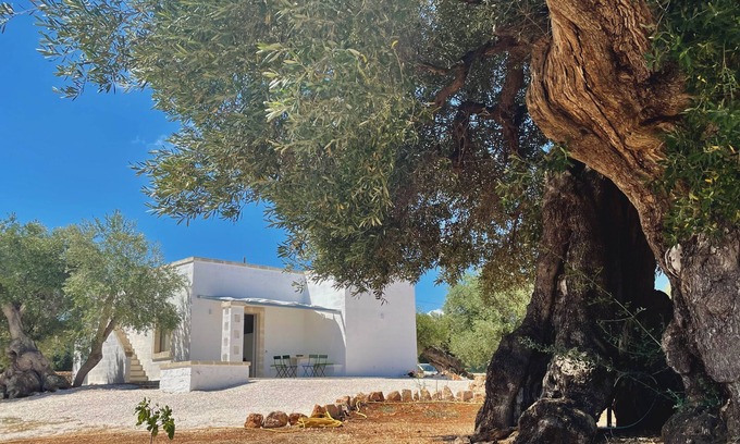 Ostuni Cabaña | Newly renovated Lamia surrounded by olive trees and Mediterranean vegetation