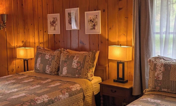 Bar Harbor Cabina | Newly renovated Nested in Pine Trees Cabin 18