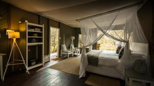 Thorny Bush Game Reserve Otro | Ngama Tented Safari Lodge