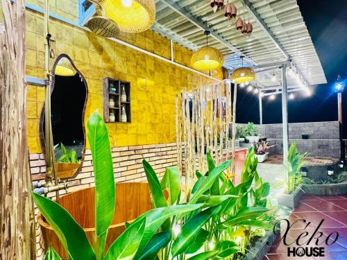 Ben Tre Apartamento | Nhà có sân thượng cây xanh view đẹp không gian yên tĩnh