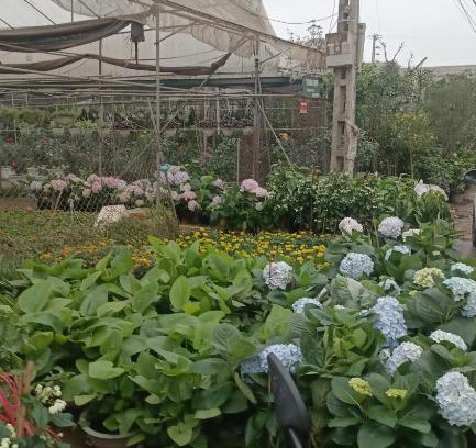 Huyen An Lao Casa | Nhà Trọ Quang Hưng