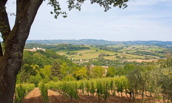 Castel San Gimignano Apartamento | Bonito apartamento en Castel San.