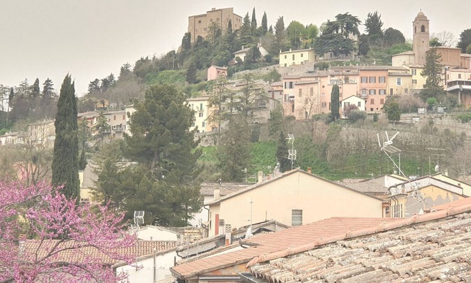 Bertinoro Apartamento | Nice apartment with independent entrance at the foot of Bertinoro