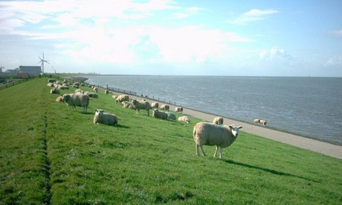 Tzummarum Chalet De Esquí | Bonito chalet con jardín cerrado cerca del Mar de Wadden