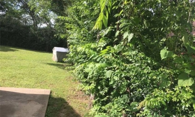 Snellville Casa | Nice house in quiet neighborhood