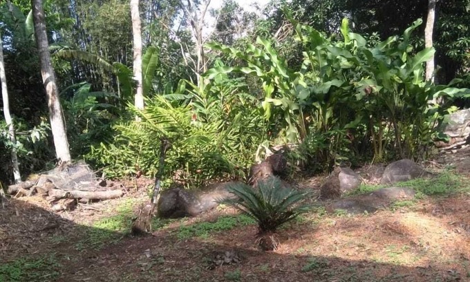 Catemaco Casa | Nice House Natural