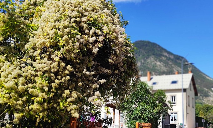 LʼArgentiere-la-Bessee Apartamento | Nice little apartment under the roof of a former school