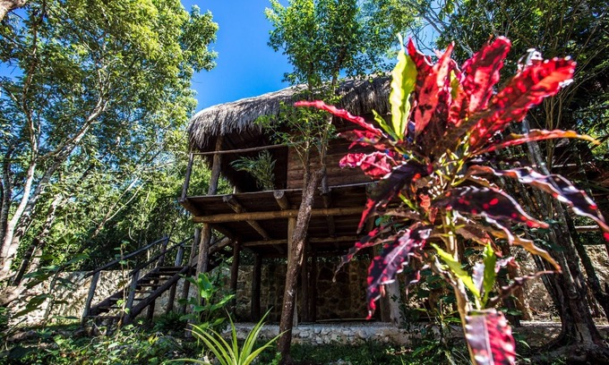 Macario Gómez Cama Y Desayuno | Bonita cabaña de madera en la selva maya