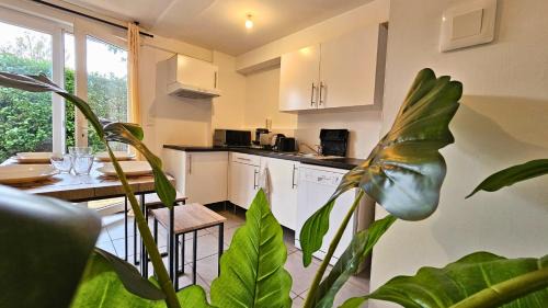 Labege Apartamento | Nid confort proche du canal du midi 2 terrasses Labège