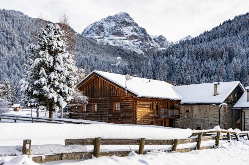 Casetti Apartamento | Nido del Brenta