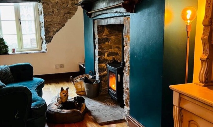 Vale of Glamorgan Cabaña | Nightingale Cottage