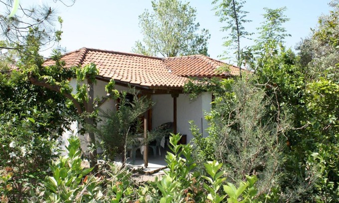 Kakovatos Casa | Nikos 5