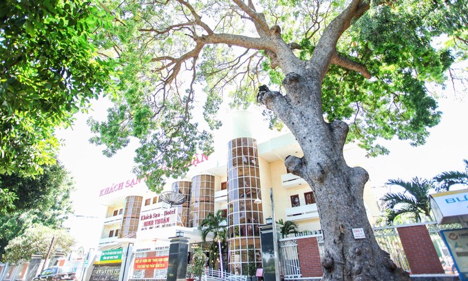 Phan Rang Hotel | Ninh Thuan Hotel