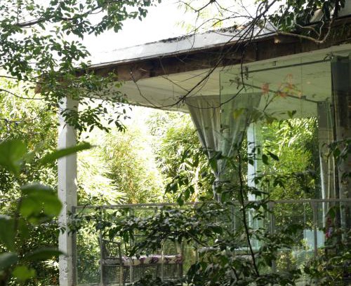 Entebbe Cabina | Nkofu Forest Cottage - Kitende