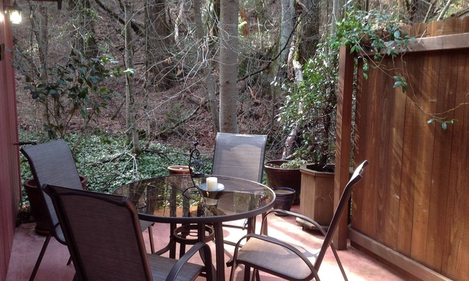Cedar Ridge Apartamento | Charming Creek Side Studio cerca de los lagos, ríos, Downtown