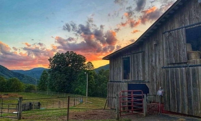 Marshall Cabina | "No Crowds"-120 Private acres, Waterfall, streams and lots of hiking trails