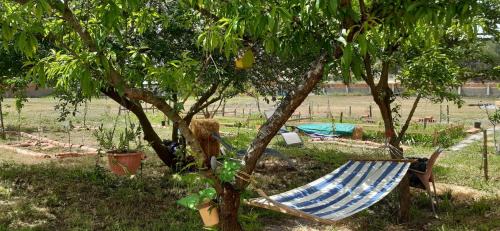 Marinha Grande Cama Y Desayuno | Noctua Villam GuestHouse