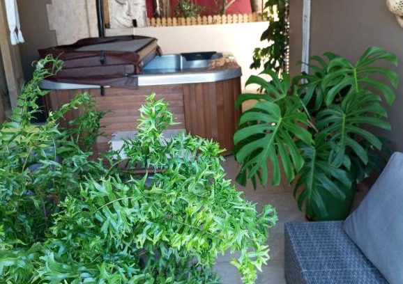Bois d'Olives Apartamento | NON FUMEURS uniquement ! LIRE PROFIL DE L'HOTE AVANT DE RESERVER!