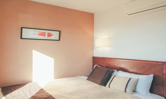 Kikugawa Hotel | NonsmokingSingleSDGsBreakfast includedMultip / Kikugawa Shizuoka