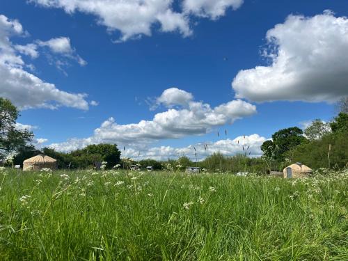 Swindon Otro | Nordic Glamping at Botswicky - a nature based retreat